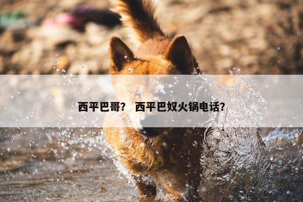 西平巴哥？ 西平巴奴火锅电话？