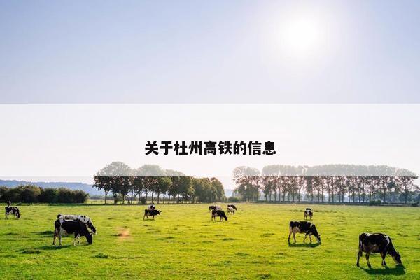 关于杜州高铁的信息