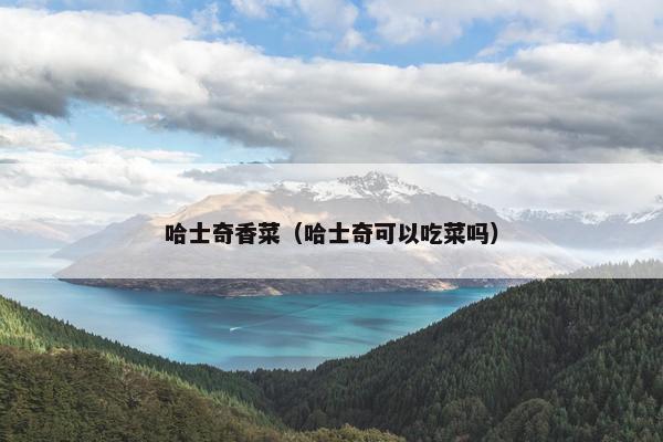 哈士奇香菜（哈士奇可以吃菜吗）
