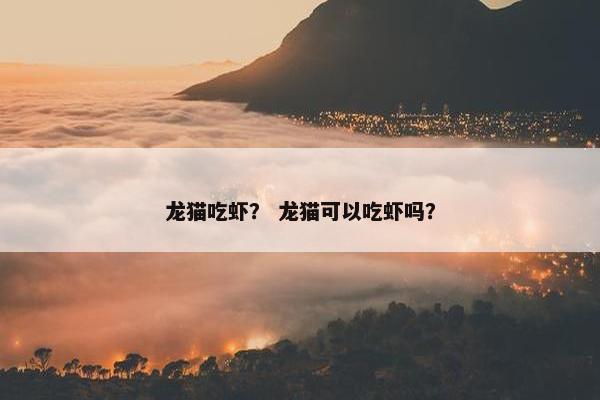 龙猫吃虾？ 龙猫可以吃虾吗？
