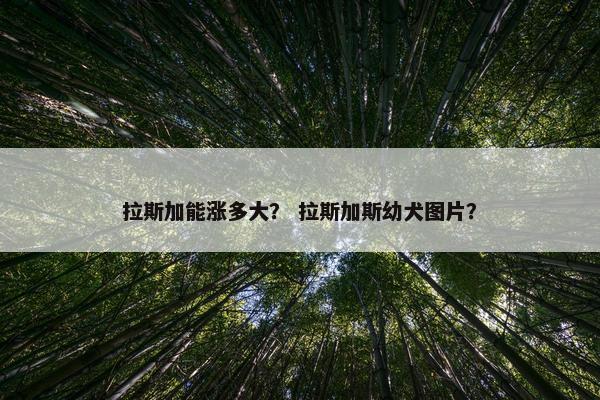 拉斯加能涨多大？ 拉斯加斯幼犬图片？