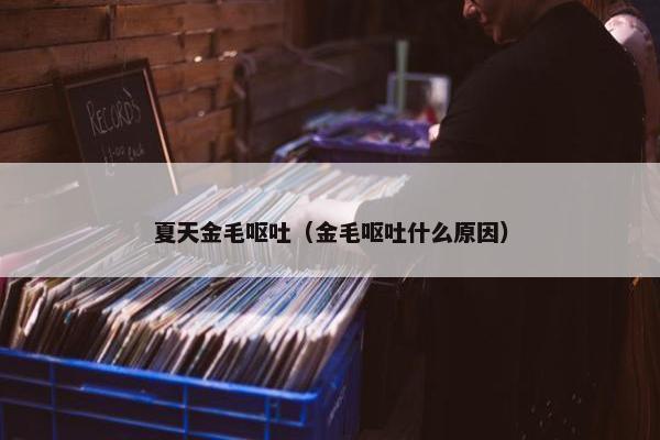 夏天金毛呕吐（金毛呕吐什么原因）