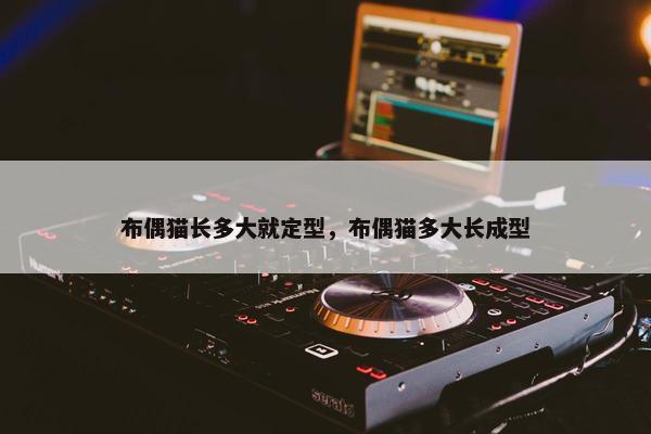 布偶猫长多大就定型，布偶猫多大长成型