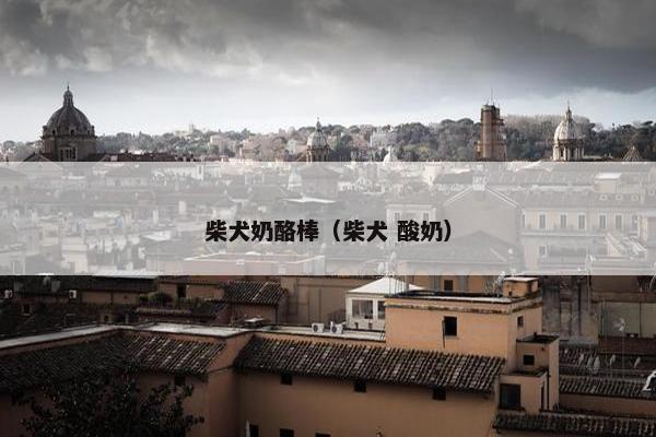 柴犬奶酪棒（柴犬 酸奶）