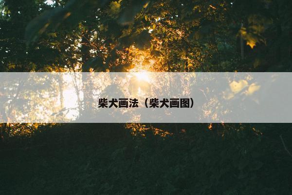 柴犬画法（柴犬画图）