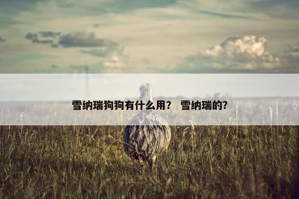 雪纳瑞狗狗有什么用？ 雪纳瑞的？