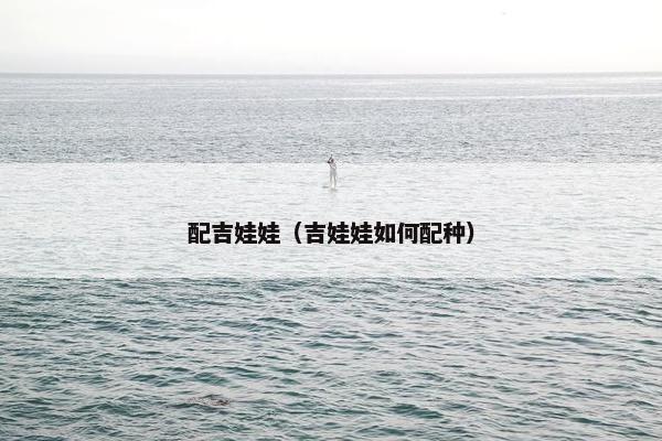 配吉娃娃（吉娃娃如何配种）