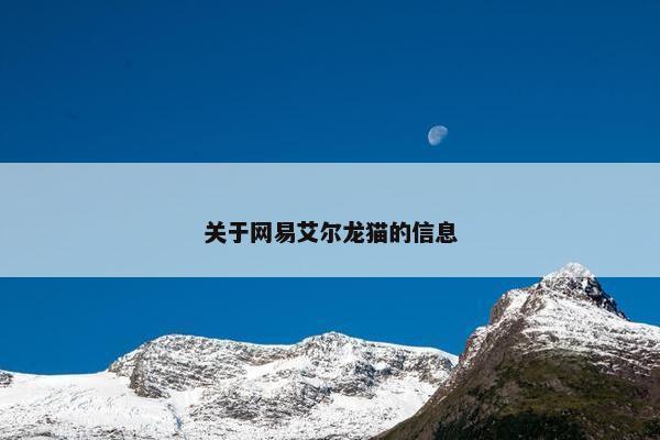 关于网易艾尔龙猫的信息