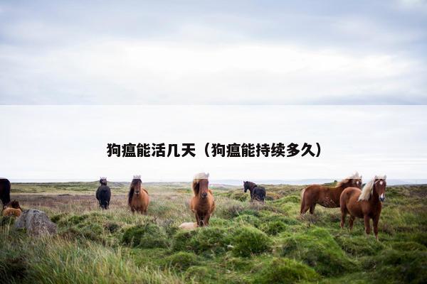 狗瘟能活几天（狗瘟能持续多久）