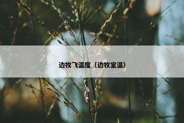 边牧飞温度（边牧室温）