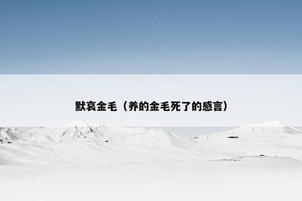 贝壳