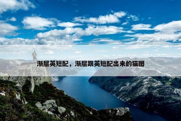 渐层英短配，渐层跟英短配出来的猫图