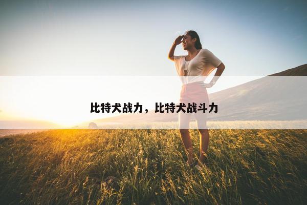 比特犬战力，比特犬战斗力