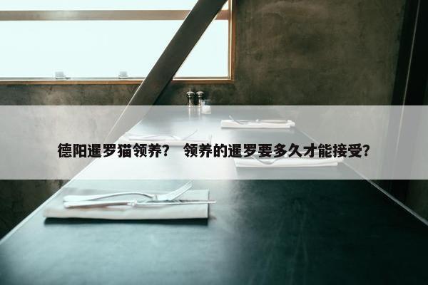 德阳暹罗猫领养？ 领养的暹罗要多久才能接受？