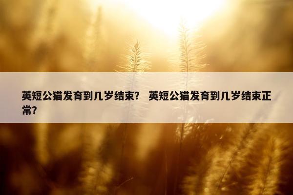 英短公猫发育到几岁结束？ 英短公猫发育到几岁结束正常？