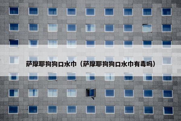 萨摩耶狗狗口水巾（萨摩耶狗狗口水巾有毒吗）