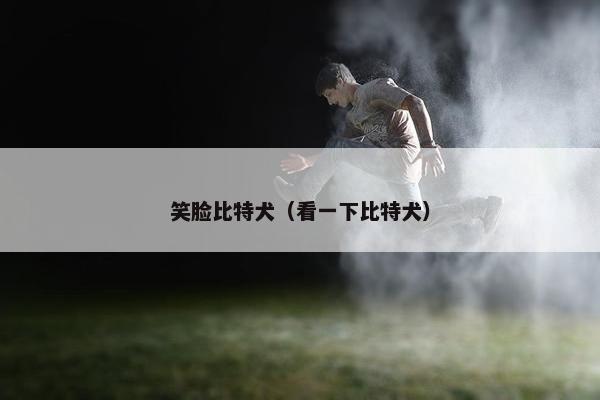 笑脸比特犬（看一下比特犬）