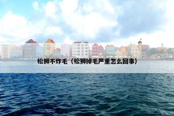 松狮不炸毛（松狮掉毛严重怎么回事）