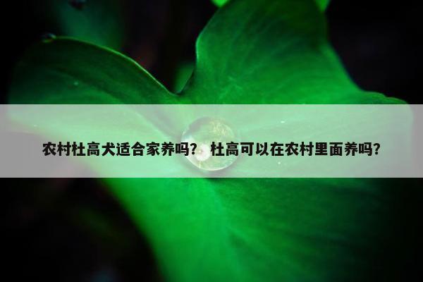 攻击性 第3页