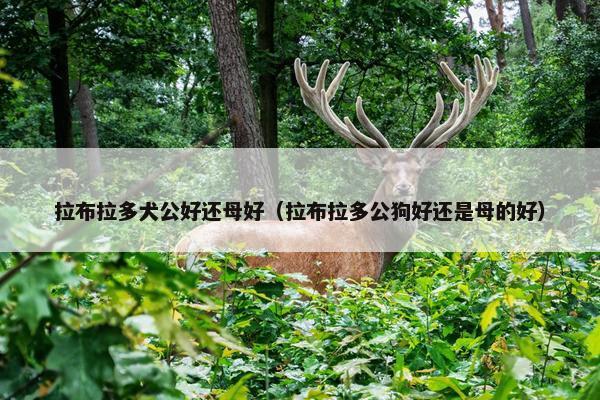 发情期 第2页
