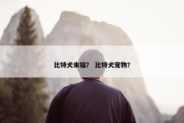 比特犬来福？ 比特犬宠物？