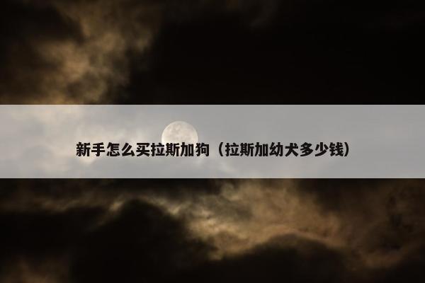 新手怎么买拉斯加狗（拉斯加幼犬多少钱）