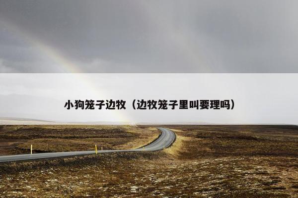 小狗笼子边牧（边牧笼子里叫要理吗）