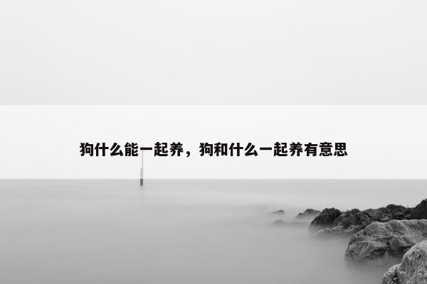 狗什么能一起养，狗和什么一起养有意思