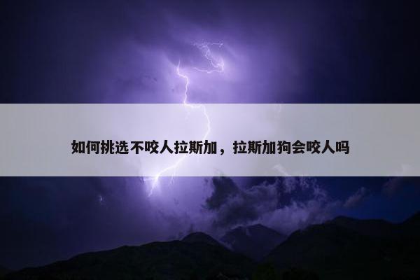 如何挑选不咬人拉斯加，拉斯加狗会咬人吗