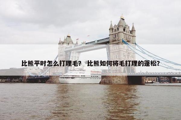 比熊平时怎么打理毛？ 比熊如何将毛打理的蓬松？