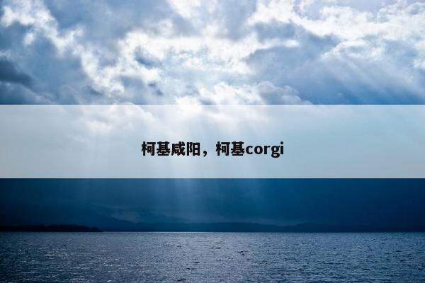 柯基咸阳，柯基corgi