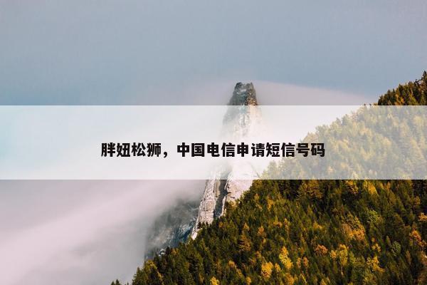 胖妞松狮，中国电信申请短信号码