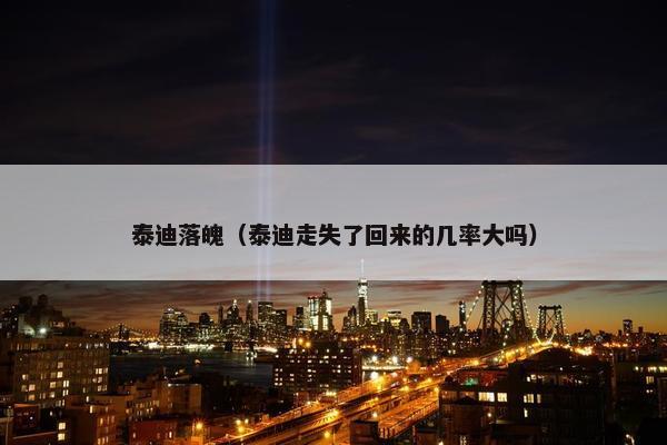 泰迪落魄（泰迪走失了回来的几率大吗）