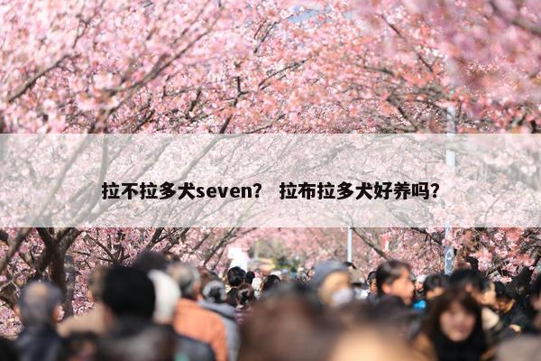 拉不拉多犬seven？ 拉布拉多犬好养吗？