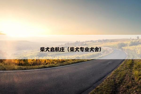娱乐