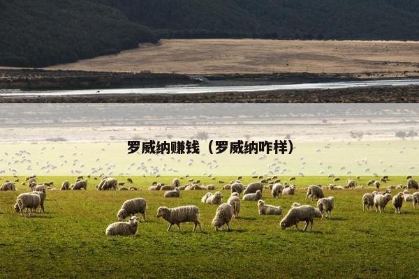 罗威纳赚钱（罗威纳咋样）