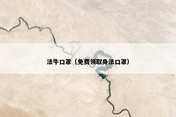 法牛口罩（免费领取身法口罩）