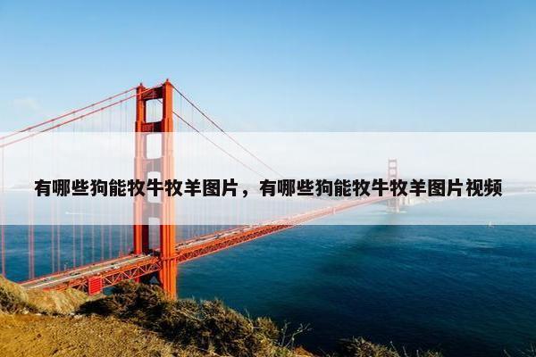 有哪些狗能牧牛牧羊图片，有哪些狗能牧牛牧羊图片视频