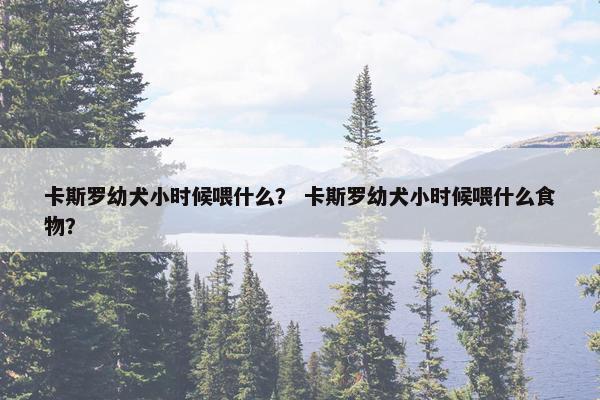 卡斯罗幼犬小时候喂什么？ 卡斯罗幼犬小时候喂什么食物？