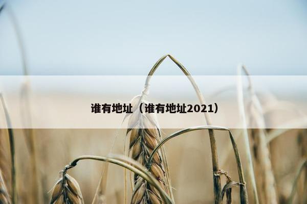 谁有地址（谁有地址2021）