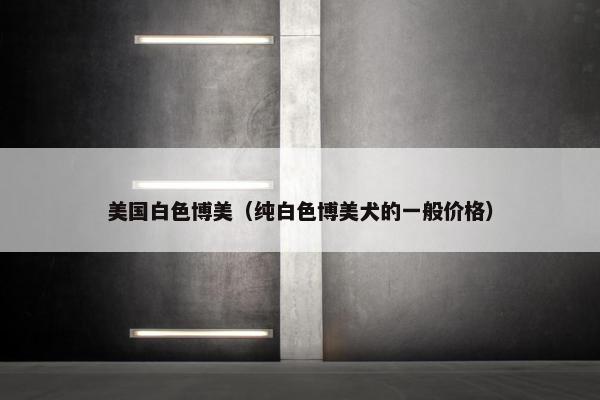美国白色博美（纯白色博美犬的一般价格）