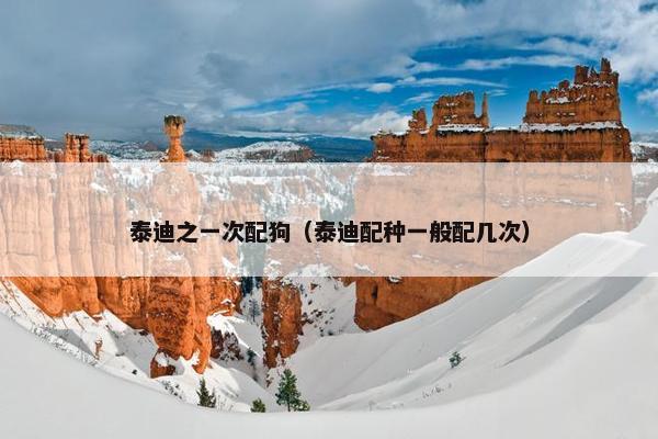 泰迪之一次配狗（泰迪配种一般配几次）