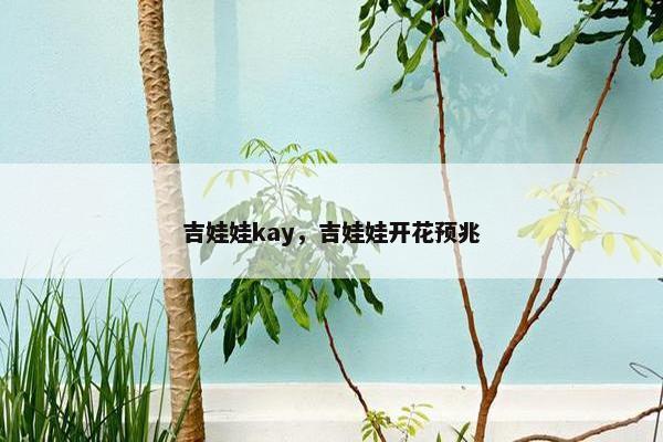 吉娃娃kay，吉娃娃开花预兆