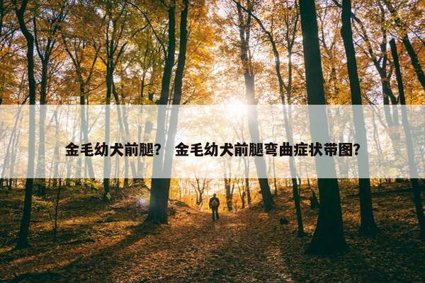 金毛幼犬前腿？ 金毛幼犬前腿弯曲症状带图？