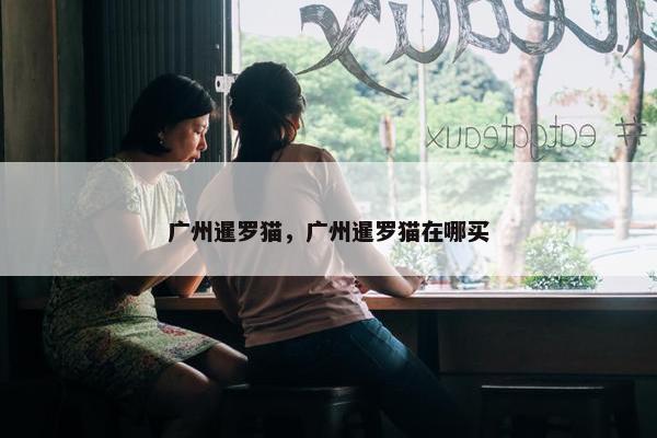 广州暹罗猫，广州暹罗猫在哪买