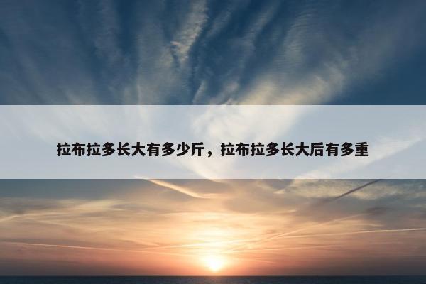 拉布拉多长大有多少斤，拉布拉多长大后有多重