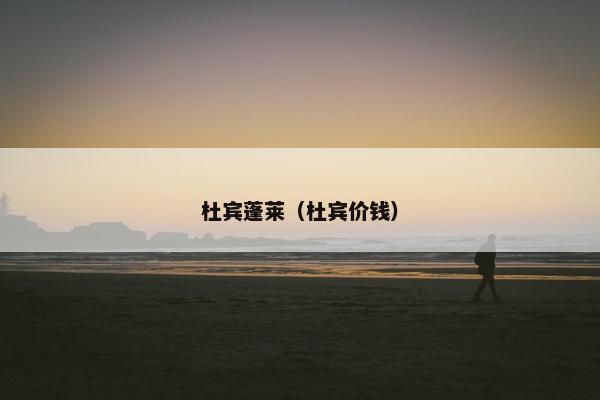 杜宾蓬莱（杜宾价钱）