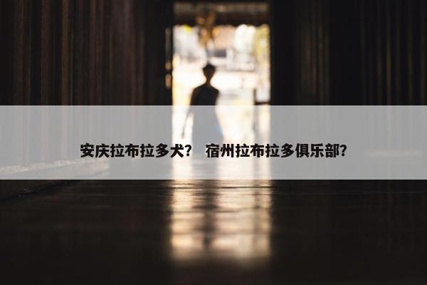 安庆拉布拉多犬？ 宿州拉布拉多俱乐部？