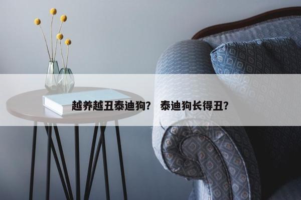 越养越丑泰迪狗？ 泰迪狗长得丑？