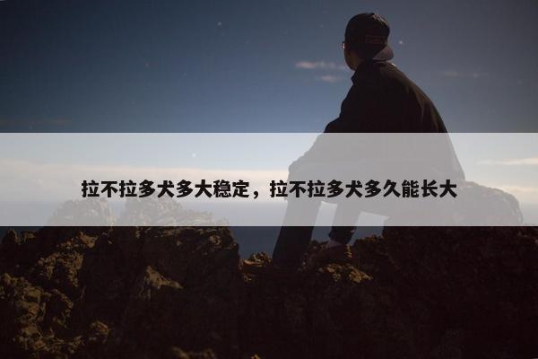 拉不拉多犬多大稳定，拉不拉多犬多久能长大